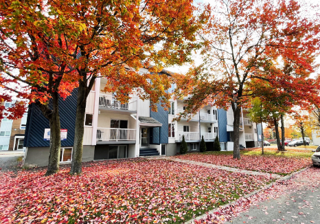 Propriété Immeubles T2