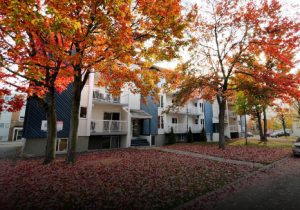 Propriété Immeubles T2